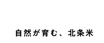 北条の特産品「自然が育む、北条米」