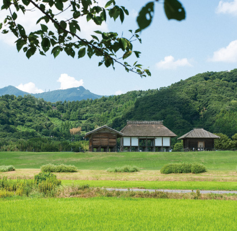 歴史をもっと知る
